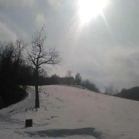 شقة Il Gelso Rosso *