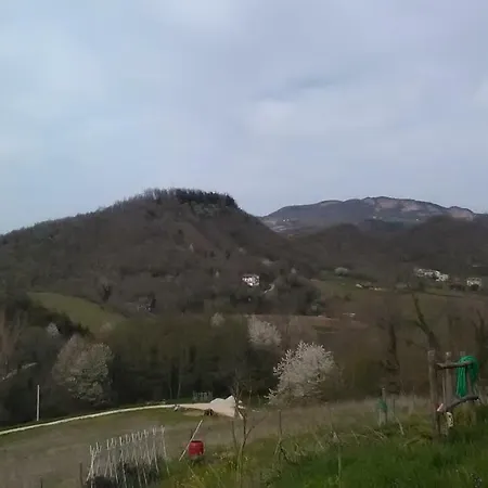 Il Gelso Rosso