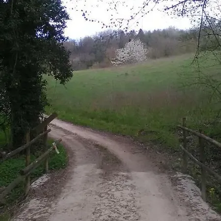 شقة Il Gelso Rosso